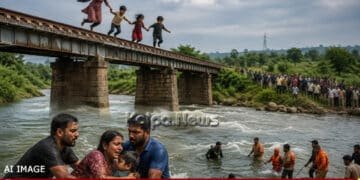 Shivamogga Mother Jumps Tunga River With 3 Children