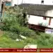 Shivamogga Sominakoppa Bus Stop Mess Overgrown Garbage