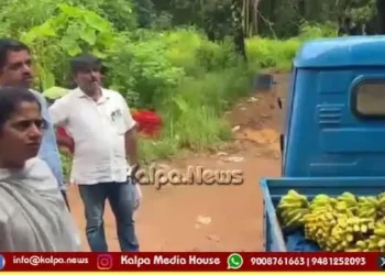 udupi-banana-artificial-ripening-chemical-raid-godowns
