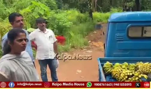 udupi-banana-artificial-ripening-chemical-raid-godowns