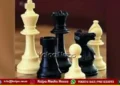 shivamogga-20th-city-inter-school-chess-tournament-held