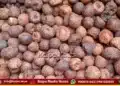 ಶಿವಮೊಗ್ಗ ಅಡಿಕೆ ಮಾರುಕಟ್ಟೆಯಲ್ಲಿ ದರ ಇಳಿಕೆ: ರಾಶಿ ಇಡಿ, ಗೊರಬಲು ಎಷ್ಟಿದೆ ಇಂದು?