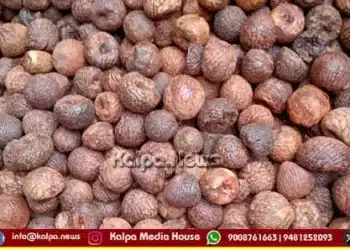 ಶಿವಮೊಗ್ಗ ಅಡಿಕೆ ಮಾರುಕಟ್ಟೆಯಲ್ಲಿ ದರ ಇಳಿಕೆ: ರಾಶಿ ಇಡಿ, ಗೊರಬಲು ಎಷ್ಟಿದೆ ಇಂದು?