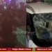 bengaluru-kidnap-gang-crashes