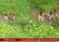 Bhadravathi Rowdy Sheeter Hides Underwater Arrested By Police