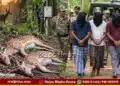 sagar-deer-hunting-electric-shock-2-spotted-deer-killed