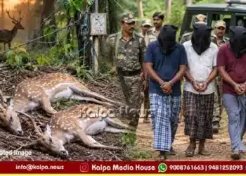 sagar-deer-hunting-electric-shock-2-spotted-deer-killed