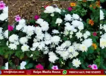 mysuru dasara 2026 fruit flower show oct 11-21