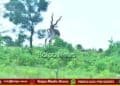 ranebennur-blackbuck-adventure-trekking-camp-2026