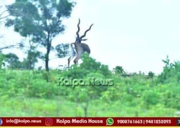ranebennur-blackbuck-adventure-trekking-camp-2026