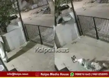 Koppal monkey attack 91 year old woman death
