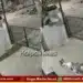 Koppal monkey attack 91 year old woman death