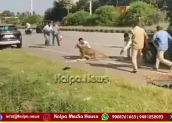 davangere-injured-leopard-attacks-forest-officer-rescue