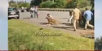 davangere-injured-leopard-attacks-forest-officer-rescue