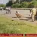 davangere-injured-leopard-attacks-forest-officer-rescue
