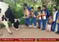 mysuru-school-students-krishna-janmashtami-gograss