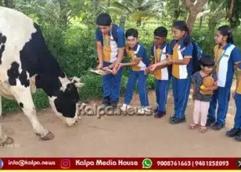 mysuru-school-students-krishna-janmashtami-gograss