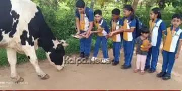 mysuru-school-students-krishna-janmashtami-gograss