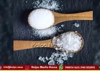 karnataka-salt-reduction-plan-30-cut-by-2030