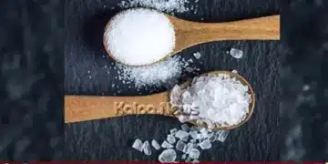 karnataka-salt-reduction-plan-30-cut-by-2030