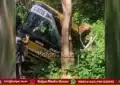 School bus hit tree - children sustain minor injuries!