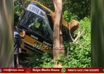 School bus hit tree - children sustain minor injuries!