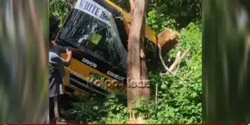 School bus hit tree - children sustain minor injuries!