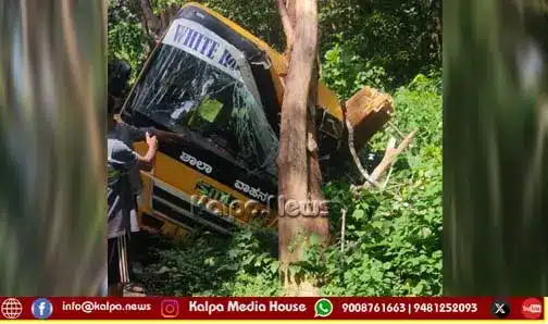 School bus hit tree - children sustain minor injuries!