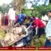 Shivamogga snake on NH Road Car Overturns Into Drain copy