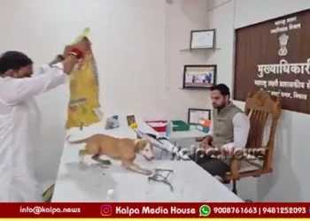 Stray Dogs Released In Niphad Nagar Panchayat Office