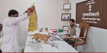 Stray Dogs Released In Niphad Nagar Panchayat Office