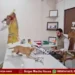 Stray Dogs Released In Niphad Nagar Panchayat Office