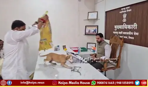 Stray Dogs Released In Niphad Nagar Panchayat Office