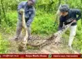 thirthahalli-14-5-feet-python-rescue-27-75-kg-kadidal