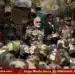 pm modi surgical strike india message