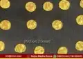 savadatti inchal 14 gold coins ganga period found
