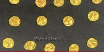 savadatti inchal 14 gold coins ganga period found