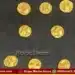 savadatti inchal 14 gold coins ganga period found