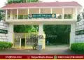 shivamogga lion safari 4 newborn lion death mystery