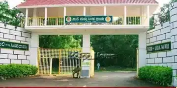 shivamogga lion safari 4 newborn lion death mystery