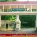shivamogga lion safari 4 newborn lion death mystery