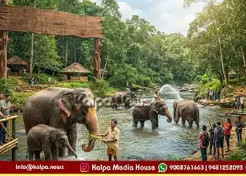 shivamogga sakrebail elephant camp reopens sept 26