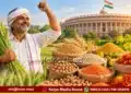Farmers MSP Hine 6 Rabi Crops Safflower Price Increase