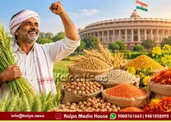 Farmers MSP Hine 6 Rabi Crops Safflower Price Increase