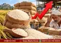 Koppal Sona Masuri Race Price Hike To 9000 Rupees