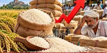Koppal Sona Masuri Race Price Hike To 9000 Rupees