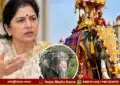 Mysore dasara jumbo savari elephant selection odeyar