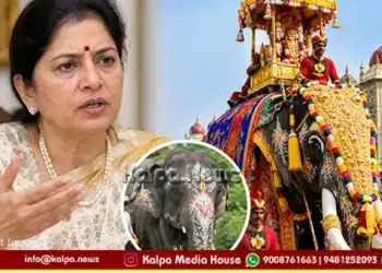 Mysore dasara jumbo savari elephant selection odeyar