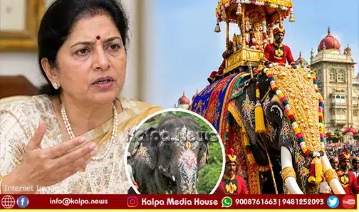 Mysore dasara jumbo savari elephant selection odeyar