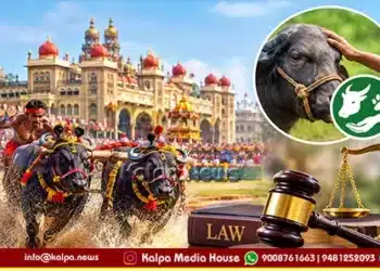 Mysuru Dasara Kambala Legal Issues Animal Welfare Rules